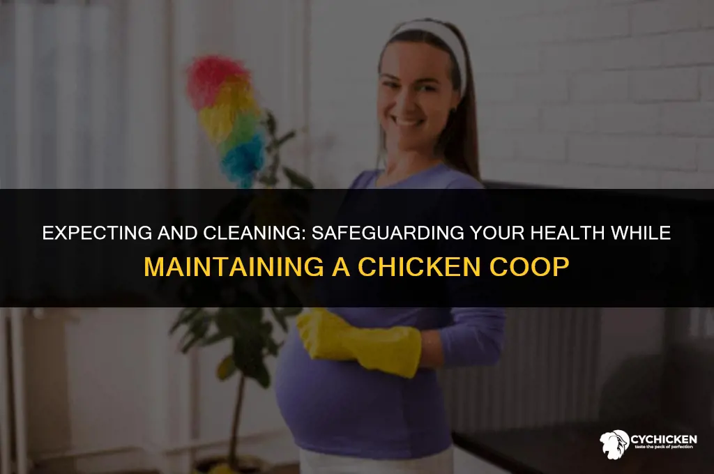 is it safe to clean chicken coop while pregnant
