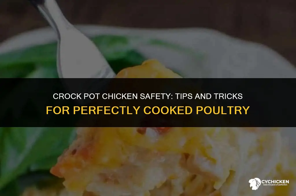 is it safe to cook chicken in crock pot