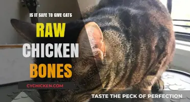 Raw Chicken Bones: Safe Treat for Cats?