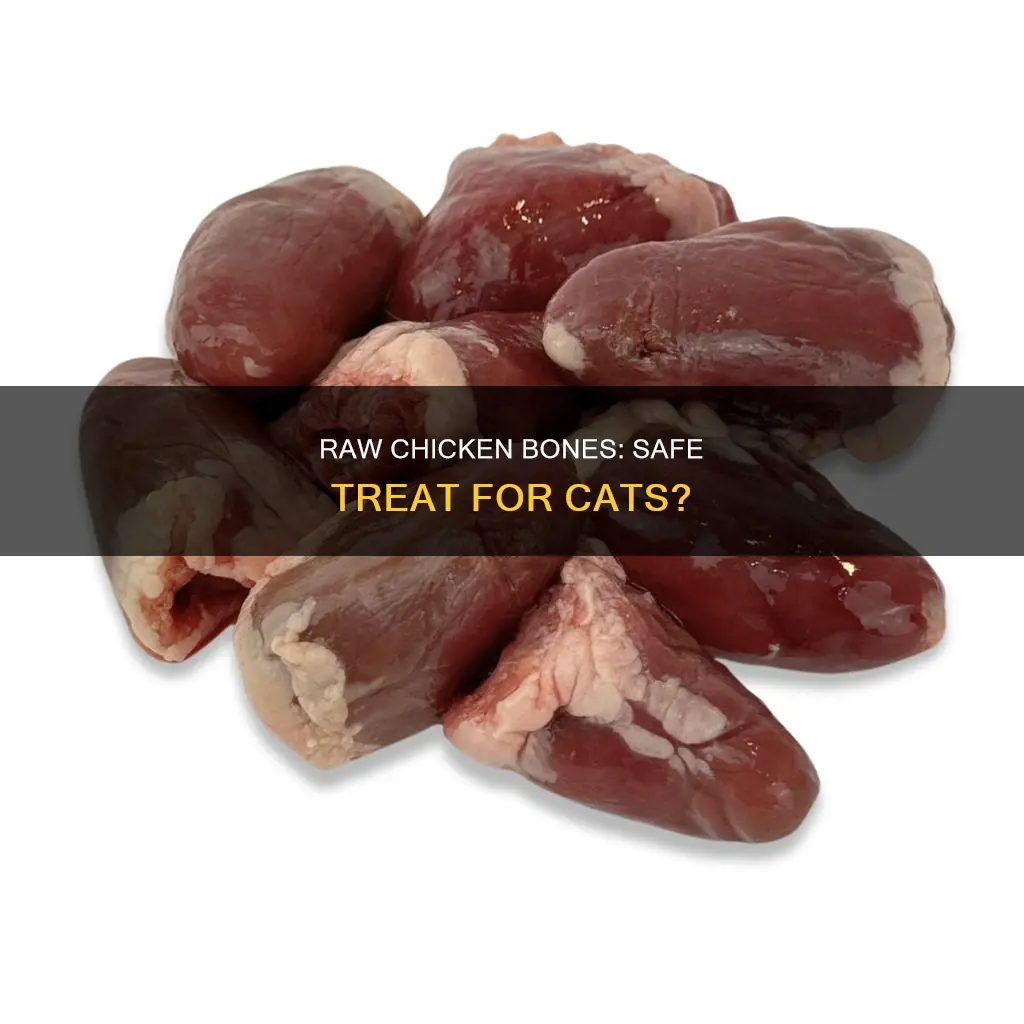 is it safe to give cats raw chicken bones