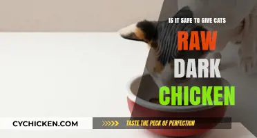 Raw Dark Chicken for Cats: Safe Treat or Health Risk?