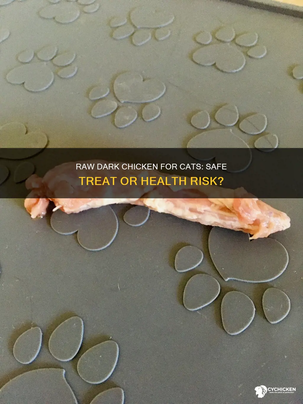 is it safe to give cats raw dark chicken