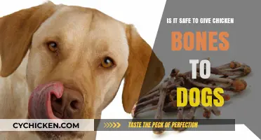Chicken Bones for Dogs: Safe or Not?