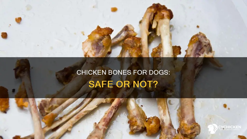 is it safe to give chicken bones to dogs