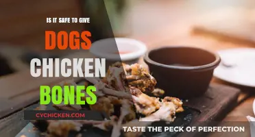 Are Chicken Bones Safe for Dogs? Risks and Alternatives Explained