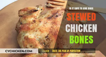Stewed Chicken Bones: Safe Treat or Danger for Dogs?