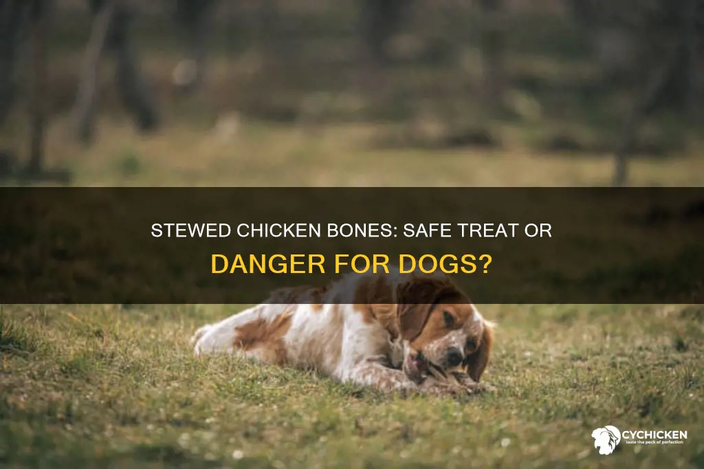 is it safe to give dogs stewed chicken bones