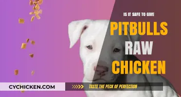 Raw Chicken for Pitbulls: Safe Feeding Practices Explained