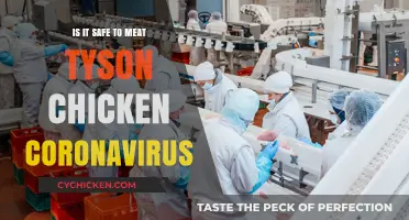 Tyson Chicken and Coronavirus: Is It Safe to Consume?