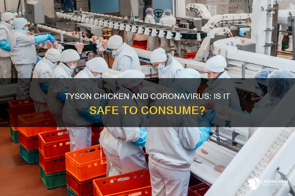 is it safe to meat tyson chicken coronavirus