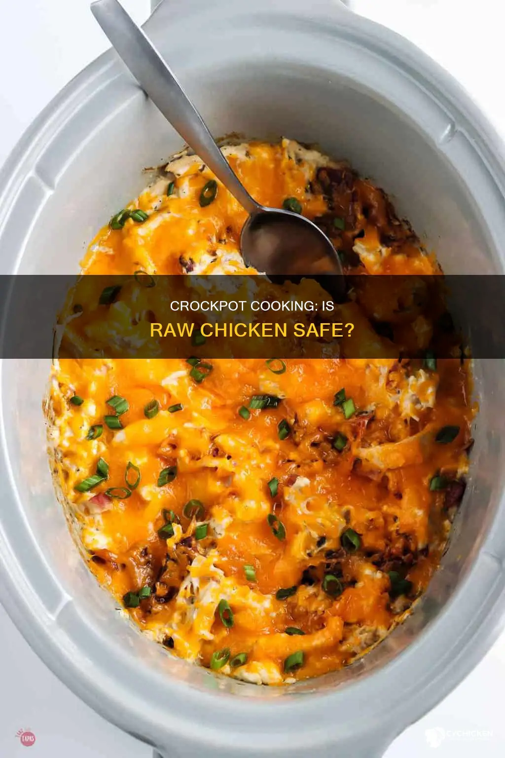 is it safe to put raw chicken in crockpot
