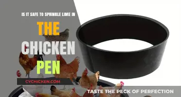 Sprinkling Lime in Chicken Pens: Safe or Unsafe?