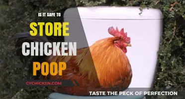 Is Chicken Poop Safe for Storage? Risks and Best Practices