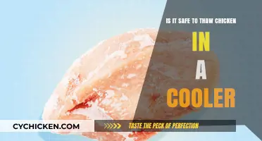 Thawing Chicken Safely: Using a Cooler
