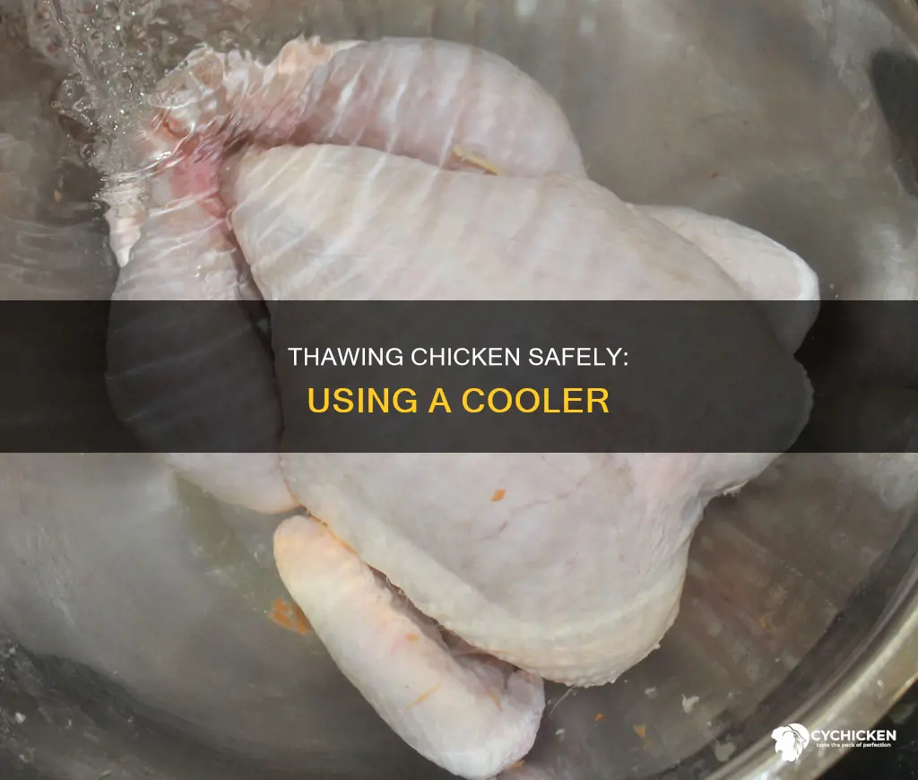 is it safe to thaw chicken in a cooler