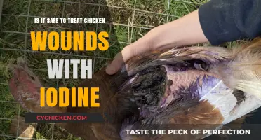 Iodine for Chicken Wounds: Is It Safe?