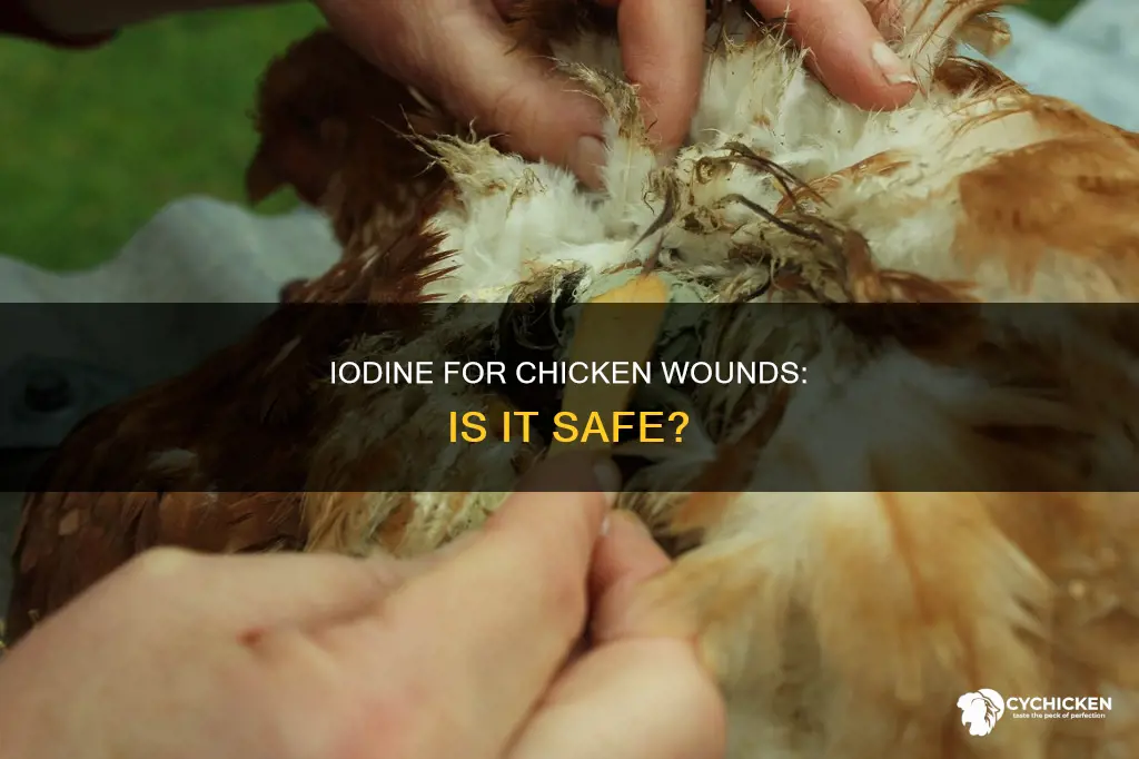 is it safe to treat chicken wounds with iodine