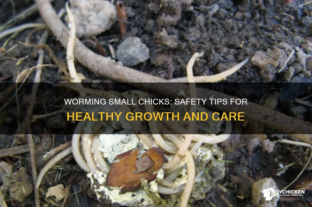 is it safe to worm small chicks