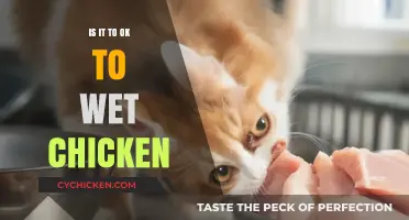 Is Wet Chicken Safe? Debunking Myths and Best Practices