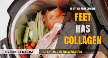 Chicken Feet and Collagen: Uncovering the Truth Behind the Trend