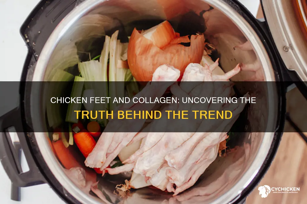 is it true that chicken feet has collagen