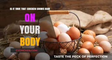 Does Eating Chicken Make You Hairy?