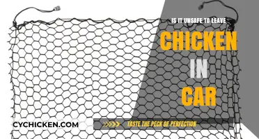 Leaving Chicken in Your Car: Risks and Food Safety Concerns