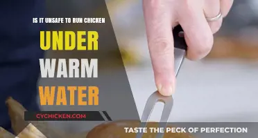 Chicken Safety: Warm Water Risks