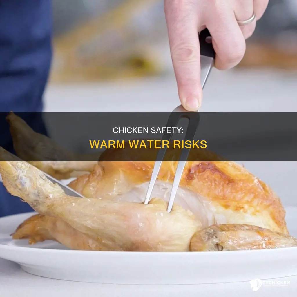 is it unsafe to run chicken under warm water