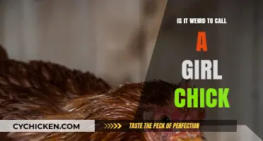 Is 'Chick' an Acceptable Term for Women? Exploring the Debate