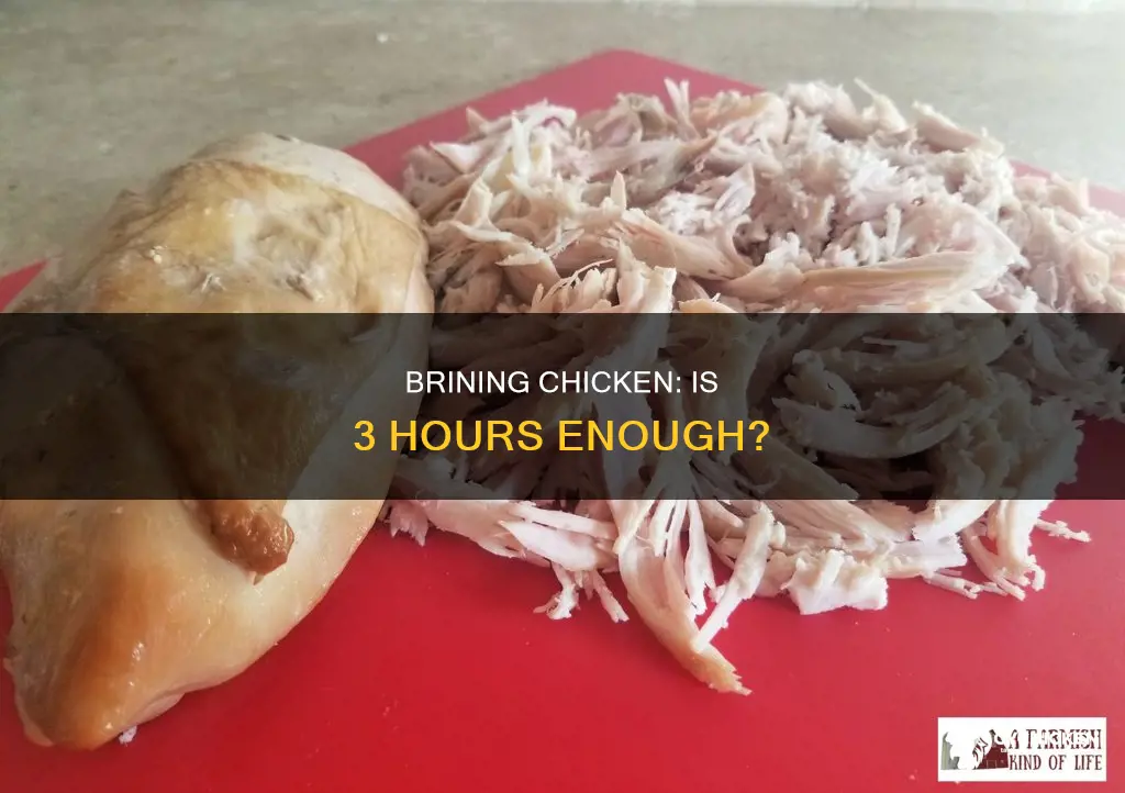 is it worth brining chicken for only 3 hours