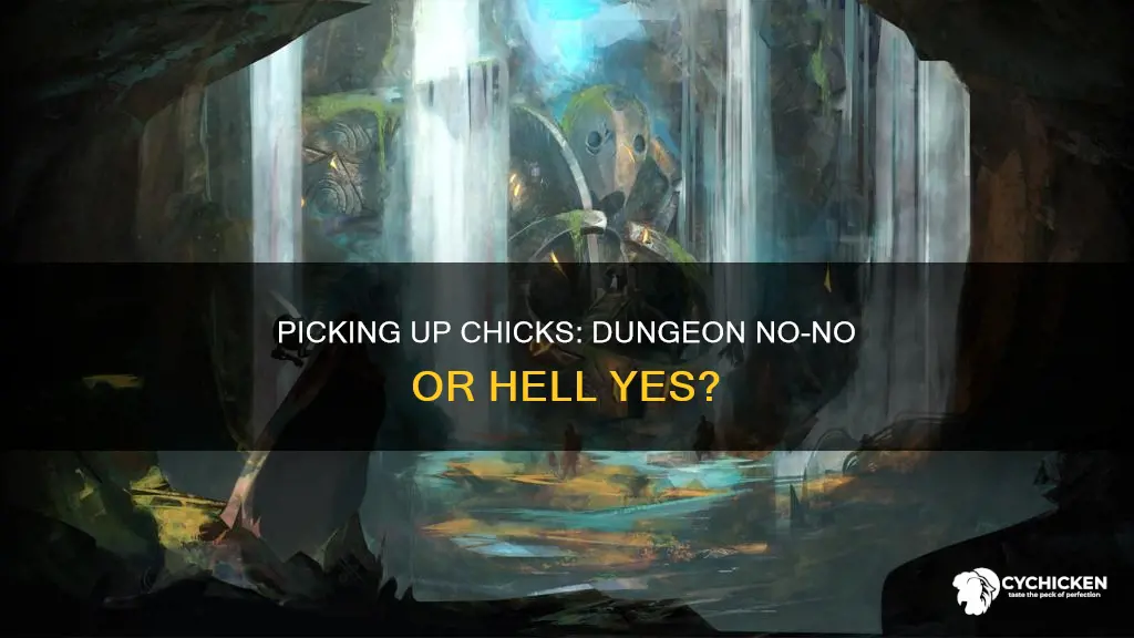 is it wrong to pick up chicks in a doungeon