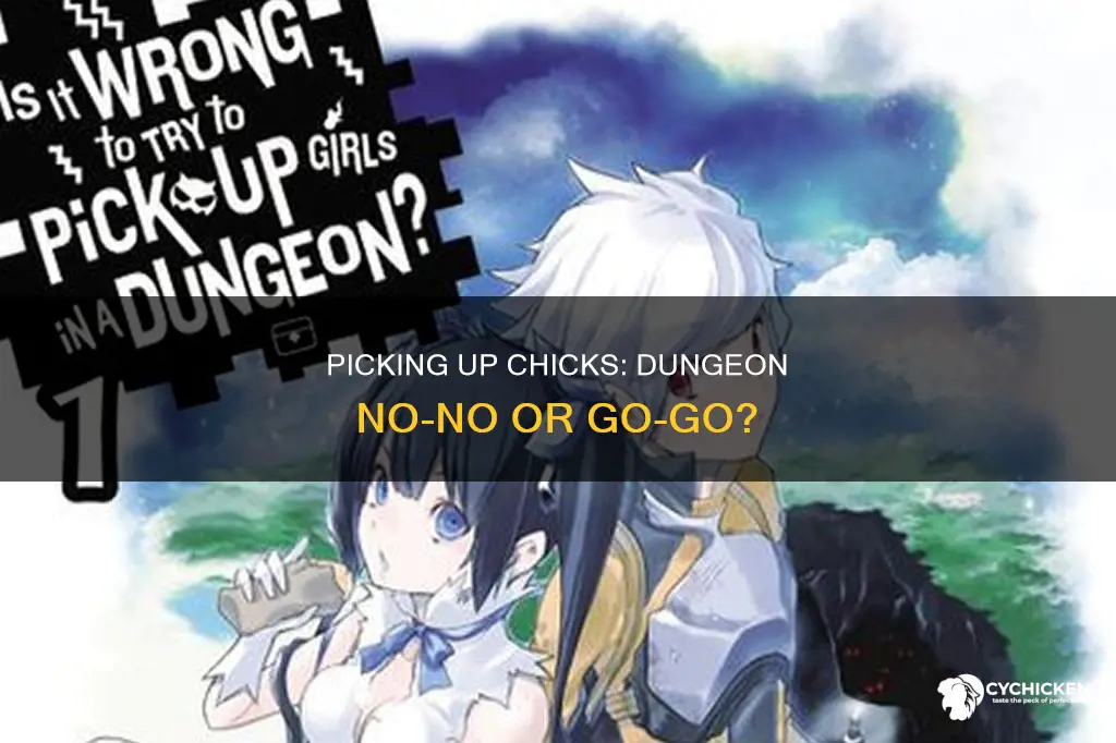 is it wrong to pick up chicks in a dungeoun