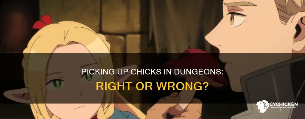 is it wrong to picknup chicks in a dungeon