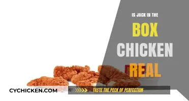 Is Jack in the Box Chicken Real? Uncovering the Truth Behind the Menu