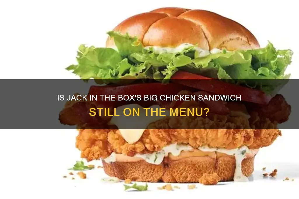 is jack in the box still selling big chicken sandwich