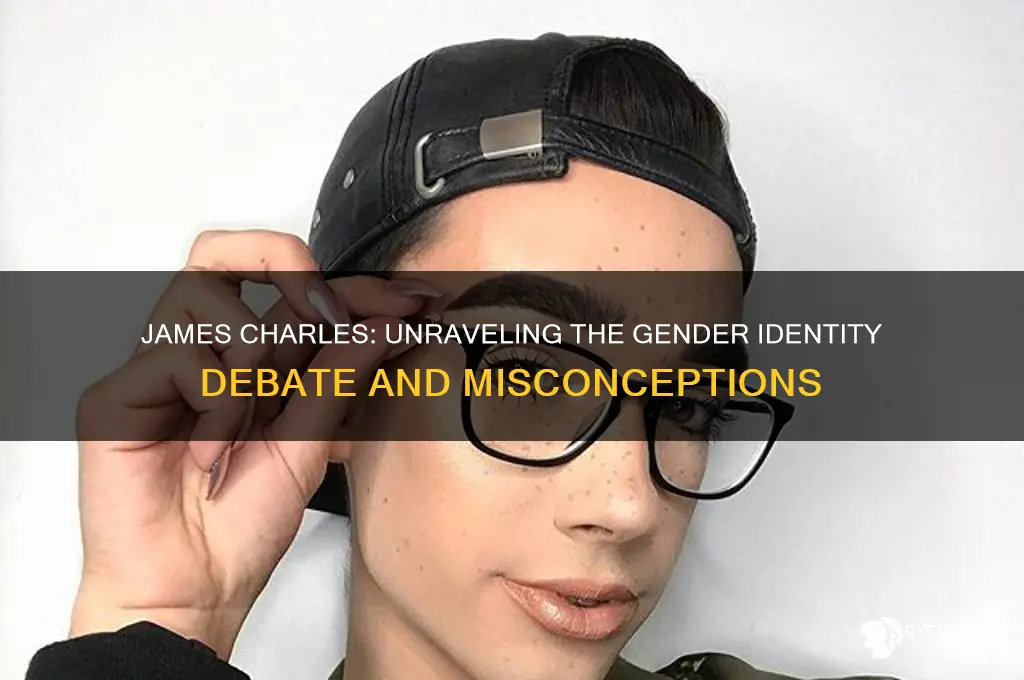 is james charles a dude or a chick