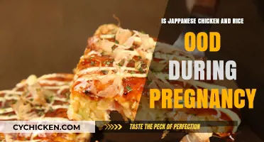 Is Japanese Chicken and Rice Safe During Pregnancy? Expert Insights