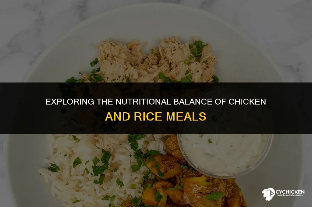 is just chicken and rice healthy