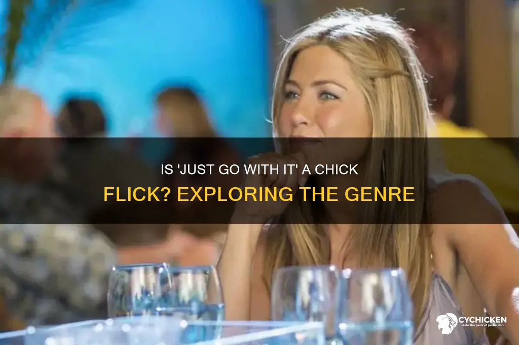 is just go with it a chick flick