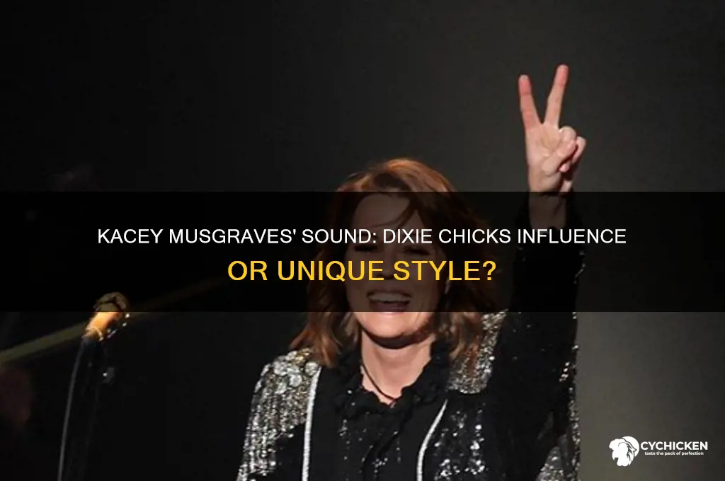 is kacey musgraves influenced by the dixie chicks