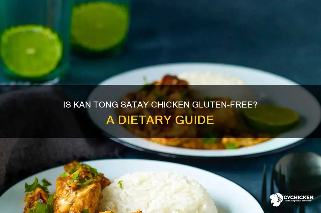 is kan tong satay chicken gluten free