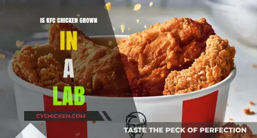 Is KFC Chicken Lab-Grown? Unraveling the Truth Behind the Rumors