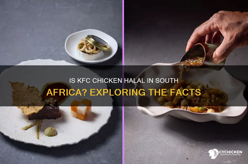 is kfc chicken halal in south africa