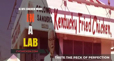 Is KFC Chicken Lab-Grown? Separating Fact from Fiction
