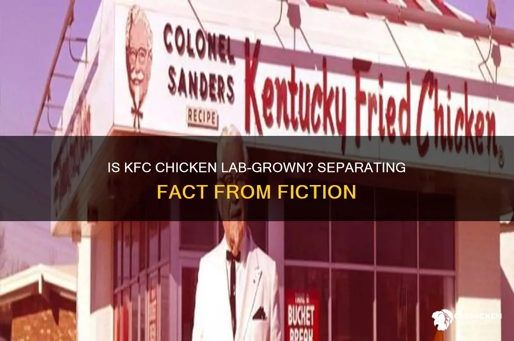 is kfc chicken made in a lab