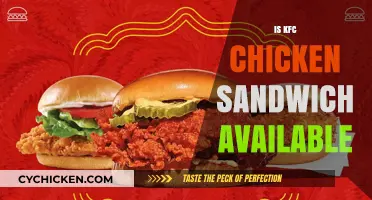 Is KFC's Chicken Sandwich Still on the Menu? Find Out Now