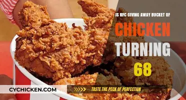KFC's Birthday Treat: Free Chicken Bucket Giveaway!