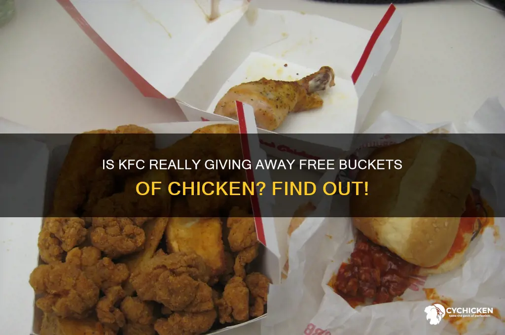 is kfc giving away bucket of chicken