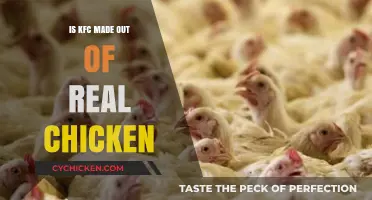 Is KFC Real Chicken? Uncovering the Truth Behind the Recipe